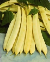 Haricots plats beurres