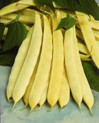 Haricots plats beurres