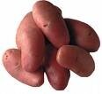 Pommes de terre franceline. sac de 3 kg