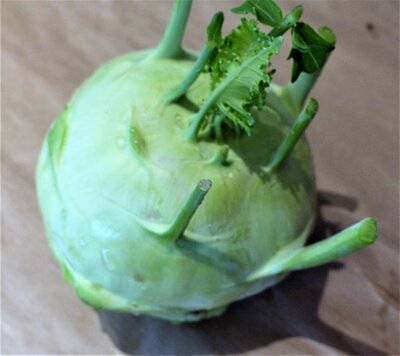 Chou rave vert