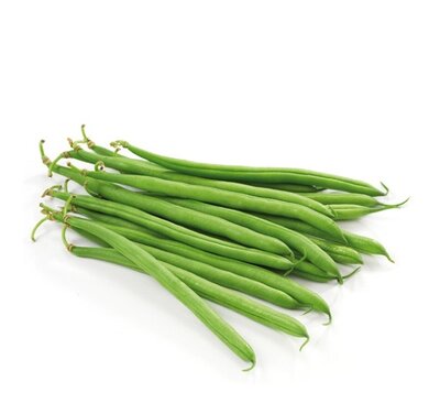 Haricots vert extra fin