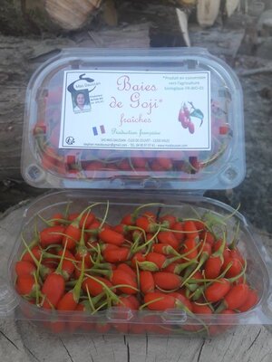 Baies de goji fraîches 100g bio