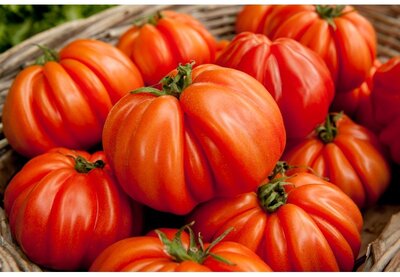 2 kg tomate cœur de bœuf, octevill