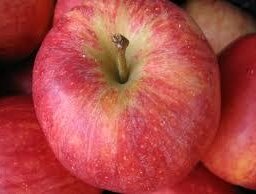 Pomme jonagored 14kg
