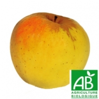 Pomme - opale bio 14kg