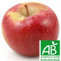 Pomme - dalinette bio 14kg