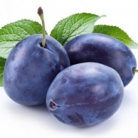 Prune - président 10kg