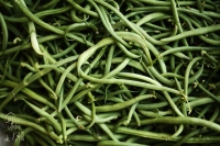 Haricots verts