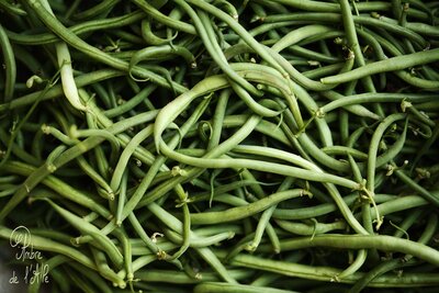 Haricots verts