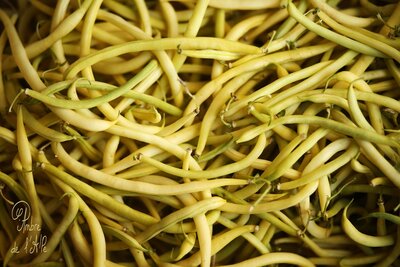 Haricots jaunes