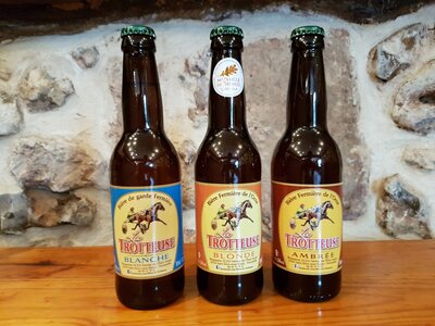Bières 6x33cl la trotteuse (blche, blde, amb)