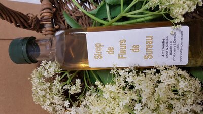 Sirop fleurs de sureau