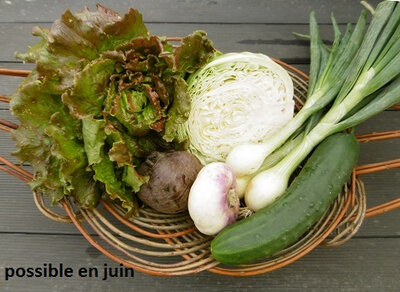 Petit panier de légumes bio.