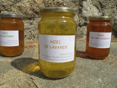 Miel de lavande