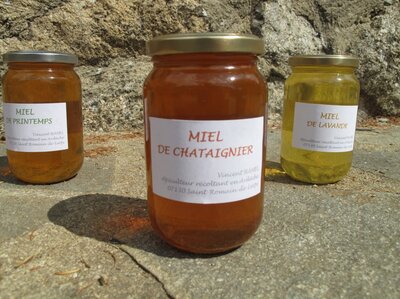 Miel de chataignier