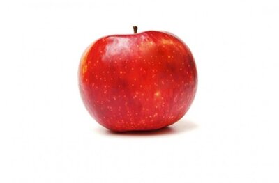 Pommes bio