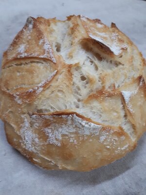 La boule au levain