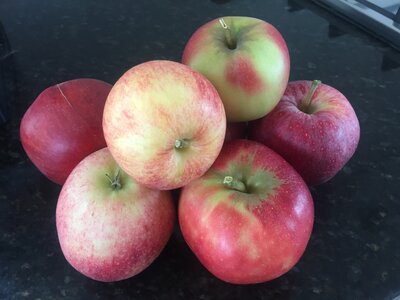 Lot pommes bicolores