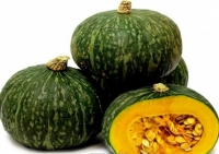 Potimarron vert shiatsu 1kg à 1.1kg