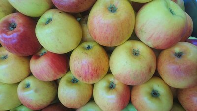 Pomme topaz bio