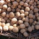 Noix franquette du périgord 1kg