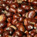 Chataignes du perigord 1kg