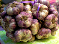 Ail  violet du gers vrac detail