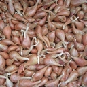 Echalotes grise (veritable) 500gr