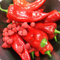 Pâtes de fruits au poivron et framboise bio