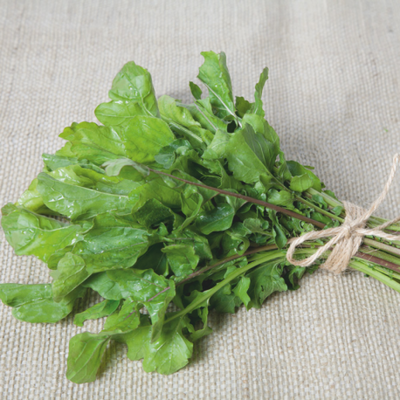 Roquette (botte)