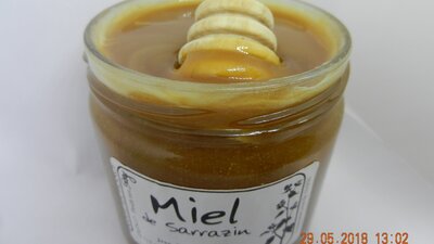 Miel de sarrasin