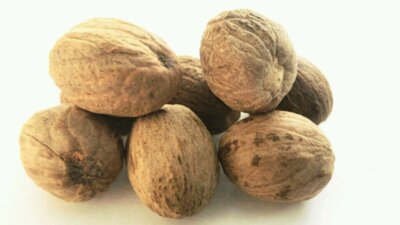 Noix de muscade