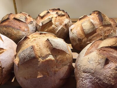 Pain de campagne