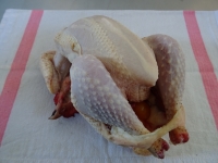 Vieille poule 2kg (+ ou - 50g)