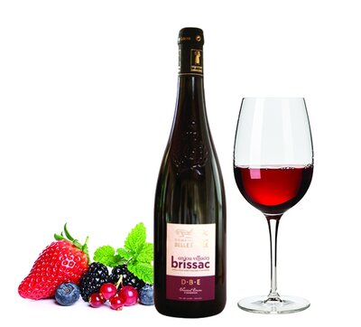 Anjou village brissac