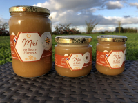 Miel de fleurs « crémeux »