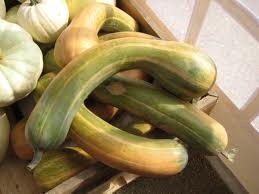 Pleine de nice 900g