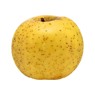 Pomme belchard chanteclerc