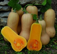 Butternut(400g)