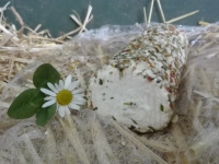 Fromage saveur du jardin