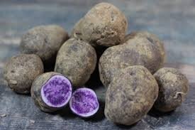 Pommes de terre nouvelles bleue d'artois. sac de 2 kg