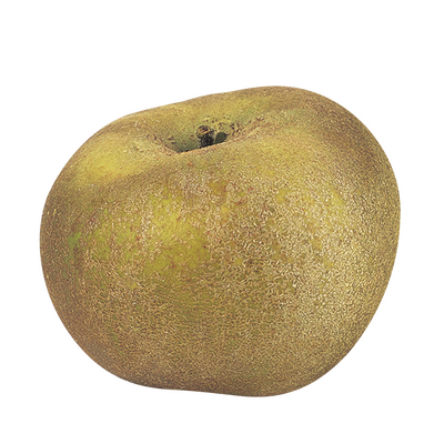 Pomme reinette grise du canada