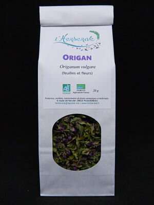 Origan