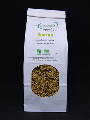 Sureau