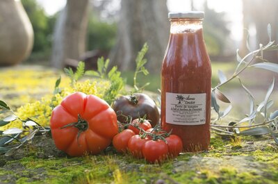 Coulis / purée de tomates ail & hp
