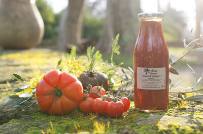 Coulis / purée de tomates nature