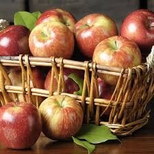 Pomme jonagold