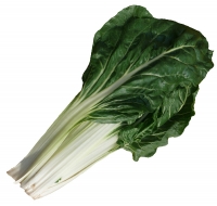 Côtes de blettes(commande avant le mercredi 8h00)