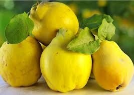 Coings 2kg