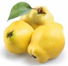 Coings